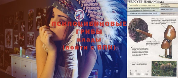 эйфоретик Балахна