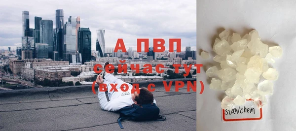 прущие крисы Армянск